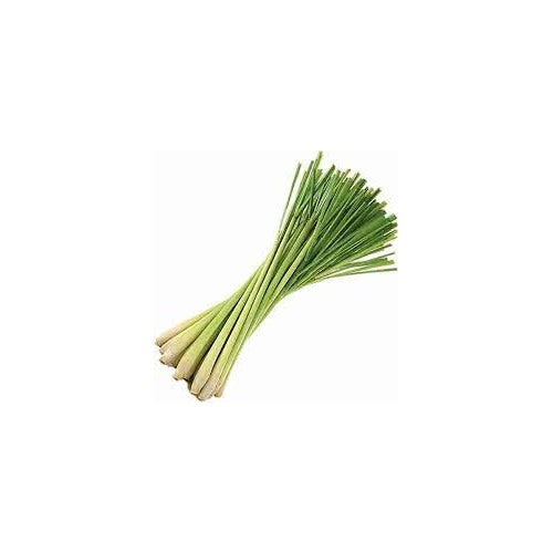 Lemongrass Seeds for Herb Gardens [neera-v5-31c6fc5ca118b49b8372]
