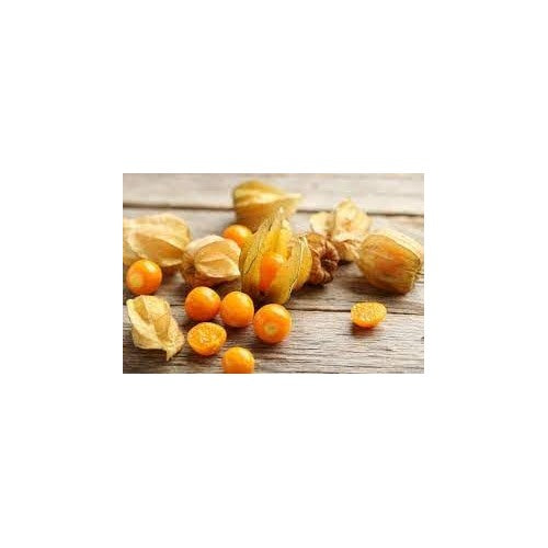 Gooseberry Seeds [neera-v5-31c78235b5cfae382525]