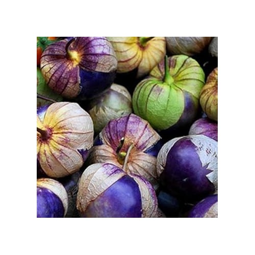 Heirloom Non-GMO Tomatillo Seeds for Home Garden Planting [neera-v5-31c7be39dd6c337c2be7]