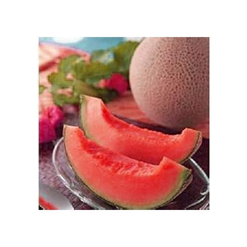 Fresh Pink Cantaloupe Melon Fruit Seeds for Planting [neera-v5-31e4cf7ed039d88d82ef]