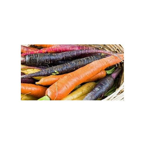 Mixed Carrot Seeds for Planting [neera-v5-34d6b699b537e14ddb45]