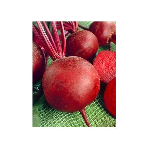 Red Beet Seeds for Planting [neera-v5-34dd62119a50f4e13411]