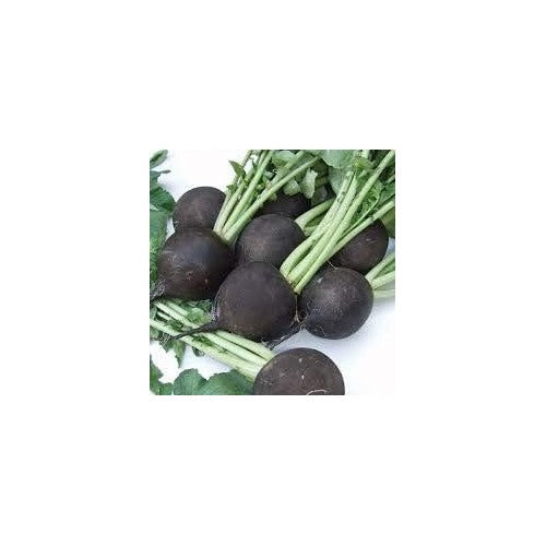 Heirloom Radish Vegetable Seeds for Planting [neera-v5-36108afc79ba72ddb5e9]