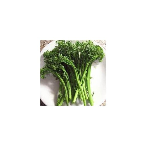 Rapini Broccolini Vegetable Seeds for Planting [neera-v5-3636d20e705f6b93c7ae]