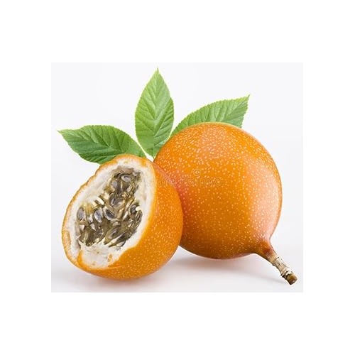 Granadilla Fruit Seeds for Planting [neera-v5-3659d5216ff400f98b4a]