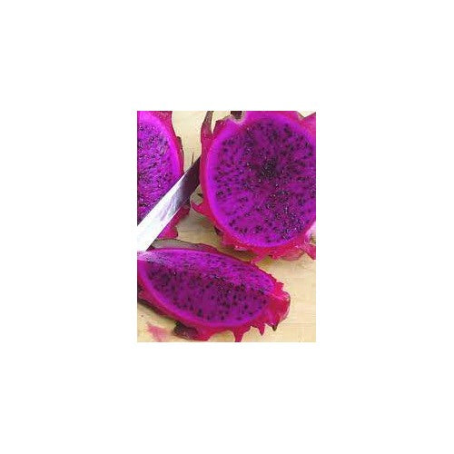 Pitaya (Dragon Fruit) Seeds for Planting [neera-v5-3686282dea8e881fd8a3]