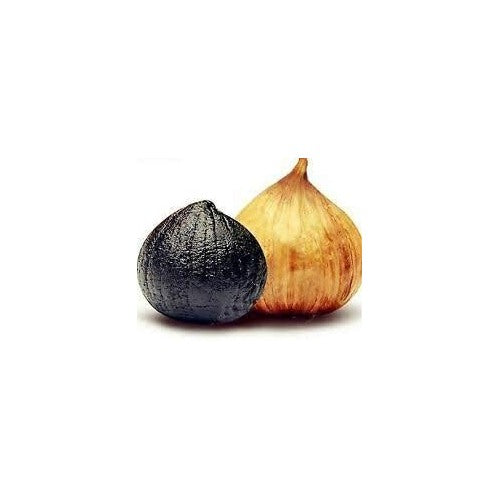 Black Orange Garlic Seeds for Planting [neera-v5-36c8f4e263750cd227b1]