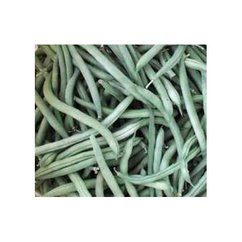 Green Bush Bean Seeds for Planting [neera-v5-3708dfdea8d56753c6e1]