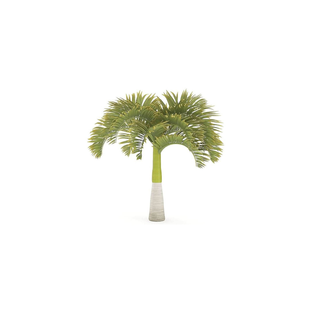 Green World Christmas Palm Adonidia Merrillii Manila Palm Ornamental Tree For Planting Heirloom [neera-v5-37681c090c744b4fbebf]