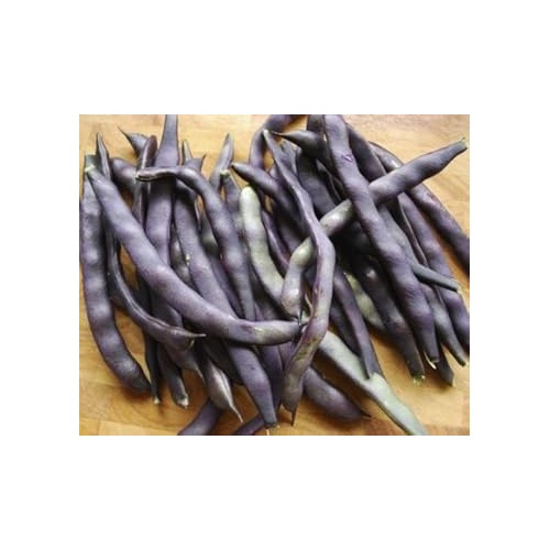 Purple Bean Vegetable Seeds for Planting [neera-v5-37a65fff44395d8c6b14]