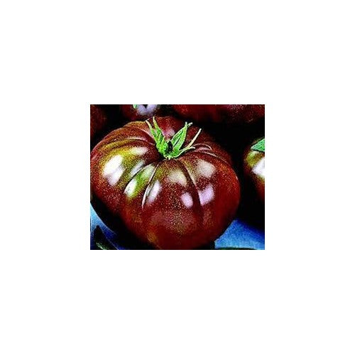 Brown Giant Tomato Seeds for Planting [neera-v5-37e22e5fa0d1728f8a98]