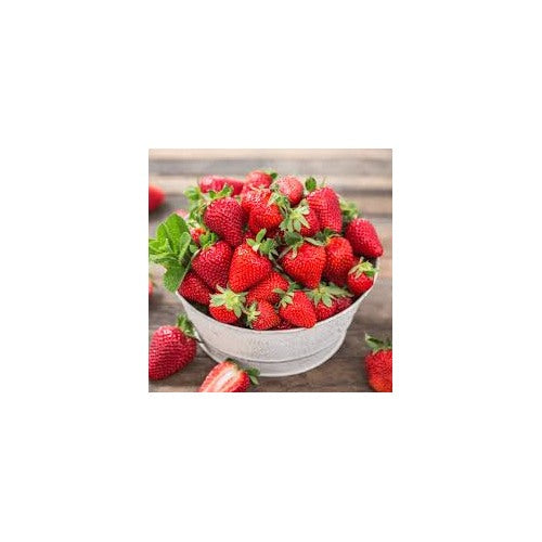 Japanese Hokowase Strawberry Fruit Seeds for Planting [neera-v5-3889935ef401588bcbab]