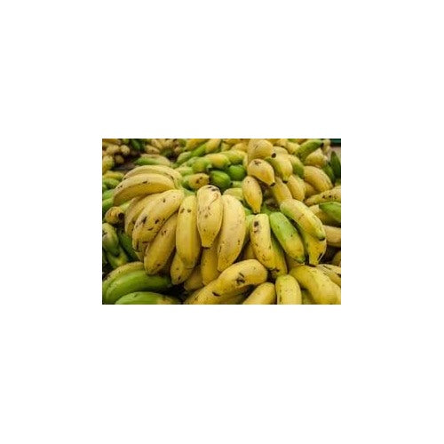 Green Yellow Banana Fruit Seeds for Planting [neera-v5-38b9800626a6fa96ba7f]