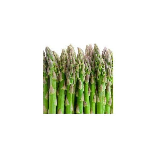 Green Asparagus Virgatus Plant Seeds for Planting [neera-v5-38c10f2b0f95b6739f86]