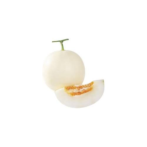 White Muskmelon Fruit Seeds [neera-v5-392748b0af0333cebf15]