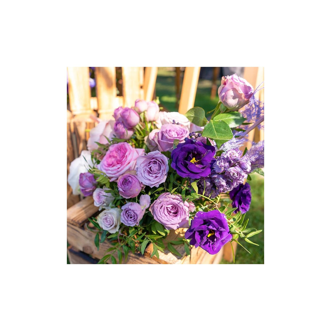 Lisianthus Eustoma Griflorum Sapphire Mix Flower For Planting Elegant Blooms For Garden Beds [neera-v5-3a7d8e8fa0b7403fc28b]