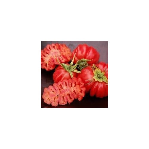 Zapotec Tomato Seeds for Planting [neera-v5-3a90bd3bedebc83c88c4]