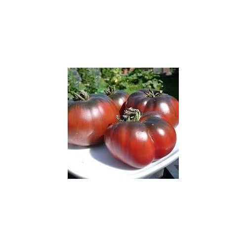 Black Red Huge Tomato Seeds for Planting [neera-v5-3b5ab3590911da16fb46]