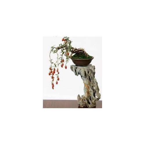 Passion Fruit Seeds [neera-v5-3be60fbd46893330e95d]
