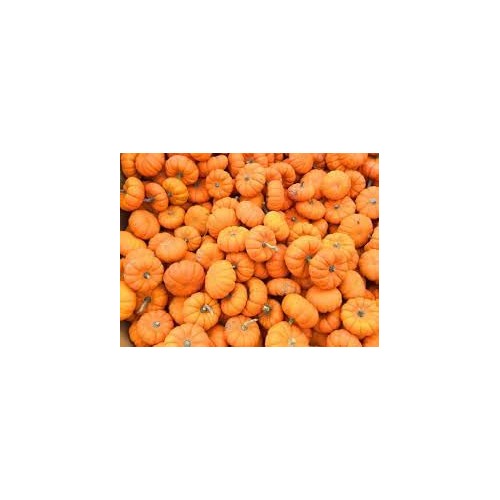 Pumpkin Seeds [neera-v5-3c1beb6cb3c4149cf52c]