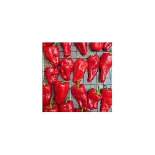 Leutschauer Pepper Seeds for Vegetable Planting [neera-v5-3c43624b0ce69953aa45]