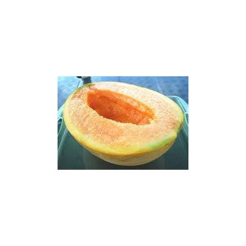 Yubari Melon Seeds for Planting [neera-v5-3d22616ff505052bbcbd]