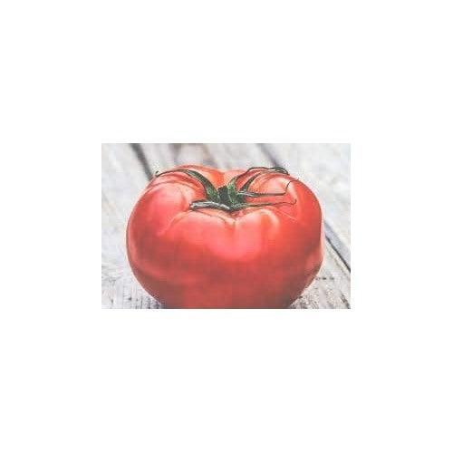 Big Red Tomato Seeds for Planting [neera-v5-3dfb19eb15b28ee135ed]
