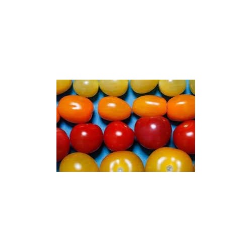 Huge Red Tomato Seeds for Planting [neera-v5-3e2be8855e0ac28b8332]