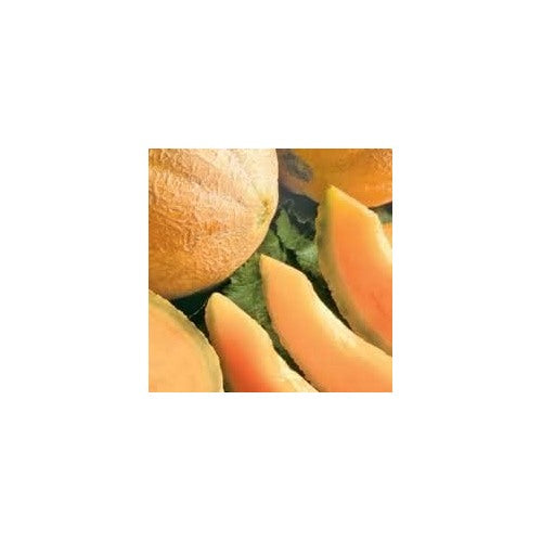 Yellow Cantaloupe Fruit Seeds for Planting [neera-v5-3e5061cb3149c75e257e]