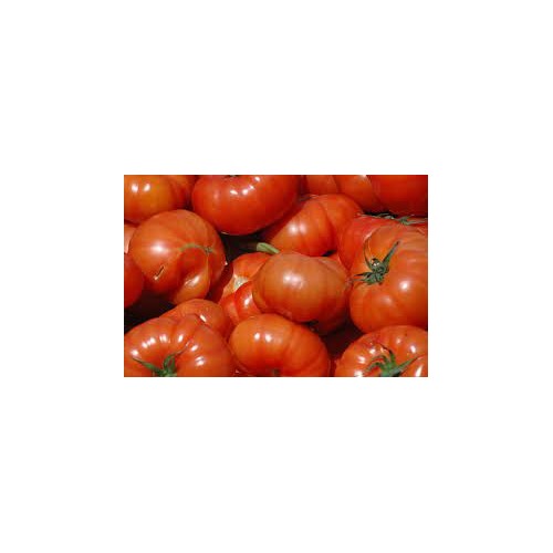 Striped Cavern Tomato Vegetable Seeds for Planting | Heirloom Non-GMO Organic Garden Seeds [neera-v5-3e7853bf42991320c46f]