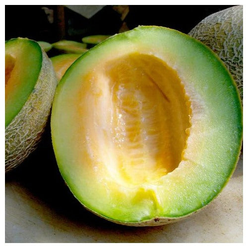 Ice-Cream Cantaloupe Fruit Seeds [neera-v5-3eca916cdb2caac89e09]
