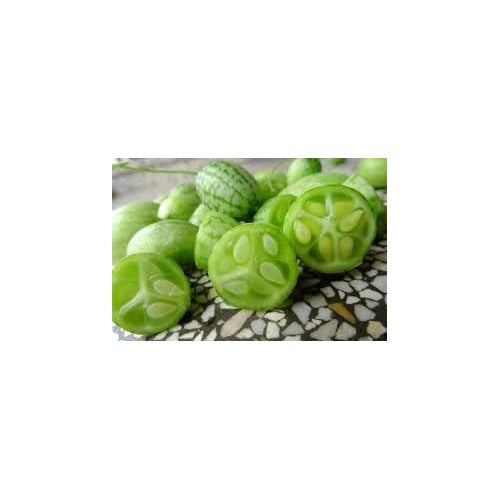 Cucamelon Vegetable Seeds for Planting [neera-v5-3f8eeacc0a218b84ac21]