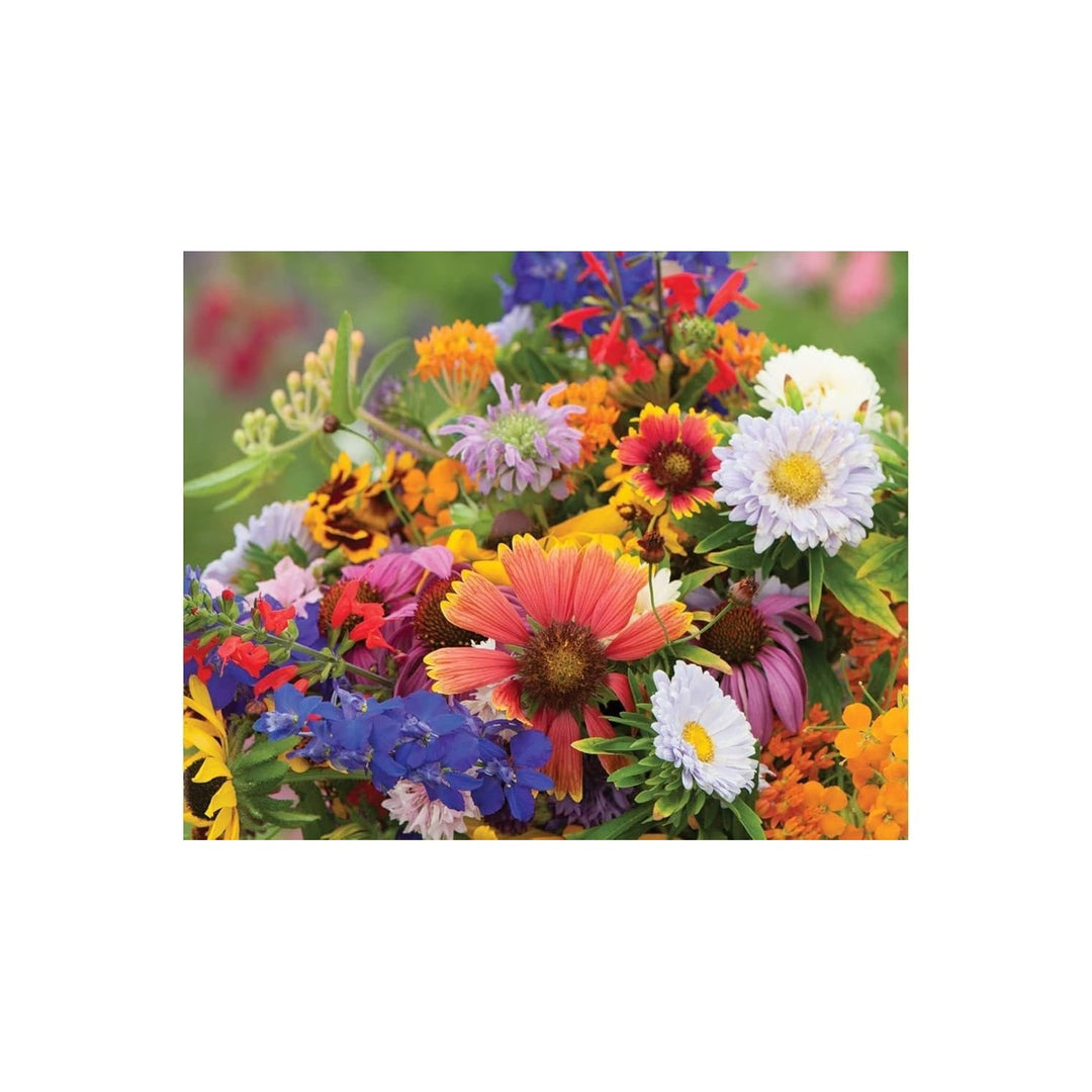 Wildflower Assorted Native Species For Planting In Pollinator Friendly Home Garden Areas Flower [neera-v5-409ffebd8b2e1afb07e1]