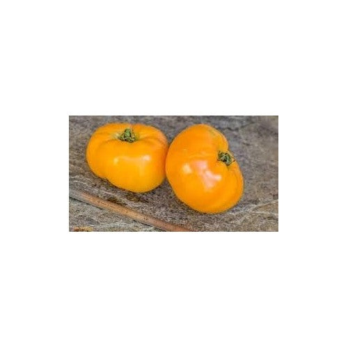 Tomato Seeds for Planting [neera-v5-41be854dc01c4c7fed08]