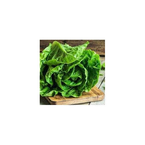 Lettuce Seeds for Home Garden [neera-v5-42112d5558a1c5f4f536]