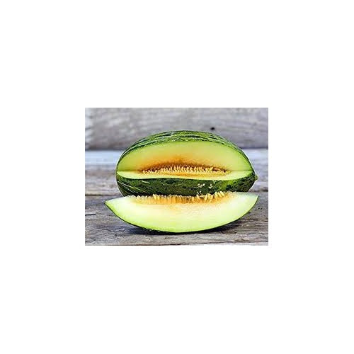 Piel de Sapo Muskmelon Fruit Seeds [neera-v5-425aec5ec28135d79e0d]