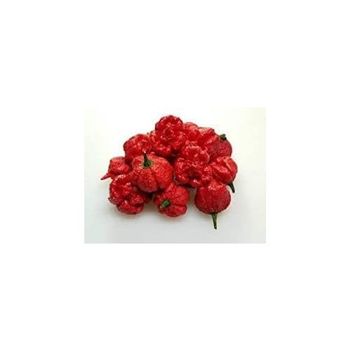Hurt Berry Pepper Seeds for Planting [neera-v5-439d50209de38e4f8ca0]