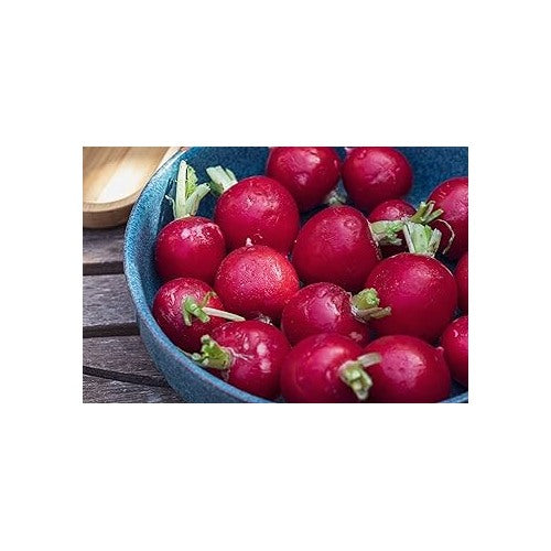 Radish Red Fruit &amp; Vegetable Seeds for Planting [neera-v5-448c6fc00107fbc54fc8]