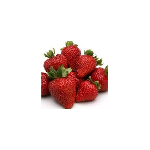 Eversweet Everbearing Strawberry Seeds for Planting [neera-v5-44d4fd2851cffdc7aa36]