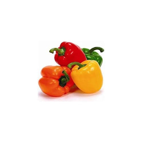 Mixed or Multicolored Bell Pepper Seeds for Planting [neera-v5-457031dec4f722212bb5]