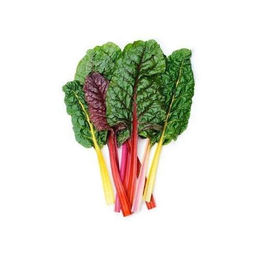 Pink Green Swiss Chard Seeds for Planting [neera-v5-45d170507521d956c049]