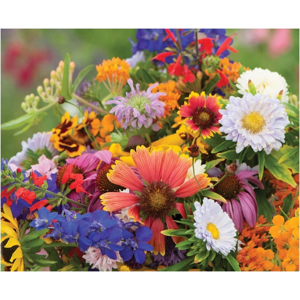 Mix Apple Blossom Flower For Planting Flower Seeds for Home Garden Planting, Lush Organic Blooming [neera-v5-45ee7bccd9ec17bee311]