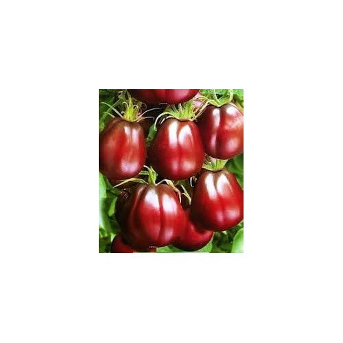 Purple Rutabaga Vegetable Seeds for Planting [neera-v5-45efbbae5a35438a4128]