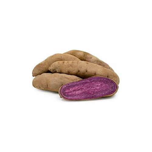 Stokes Purple Sweet Potato Seeds for Planting [neera-v5-46862c0a9996f88e0c6a]