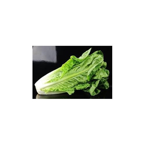 Romaine Lettuce Seeds for Planting [neera-v5-469f61c00c72c14c0289]