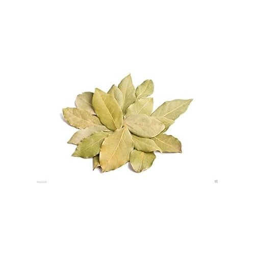 Green Bay Leaf Plant Seeds for Planting [neera-v5-47256c14c7d960cd4601]