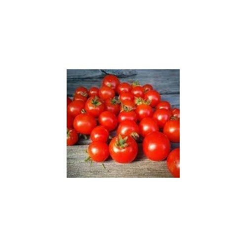 Birdie Rouge Red Cherry Tomato Seeds for Planting [neera-v5-473bb1b365b323986b3b]