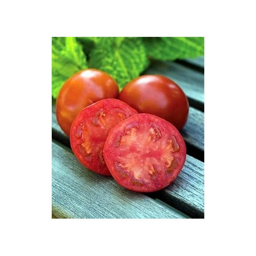 Red Tomato Seeds for Planting [neera-v5-47b6cb9c77b6f7e2727d]