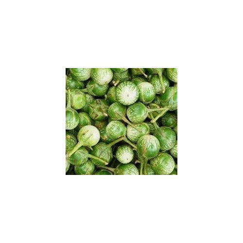 Thai Eggplant Vegetable Seeds for Planting [neera-v5-4876489ce6890a2e6d56]