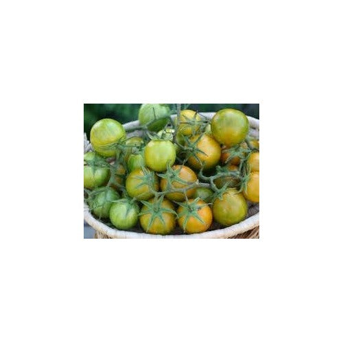 Heirloom Green Zebra Cherry Tomato Vegetable Seeds [neera-v5-48f5eb8c63d9e5302a32]